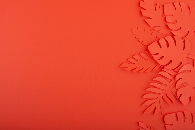 Paper leaves on coral background