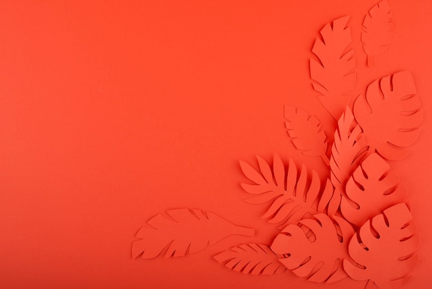 Free photo paper leaves on coral background