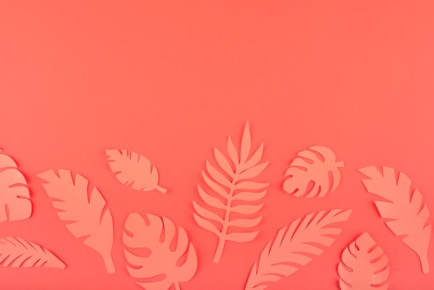 Paper leaves on coral background