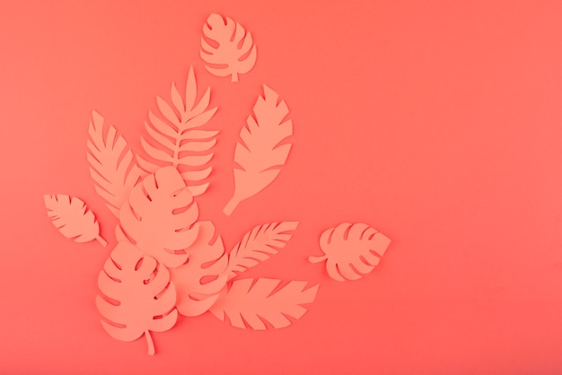 Paper leaves on coral background