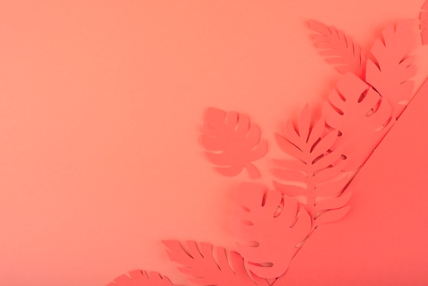 Paper leaves on coral background