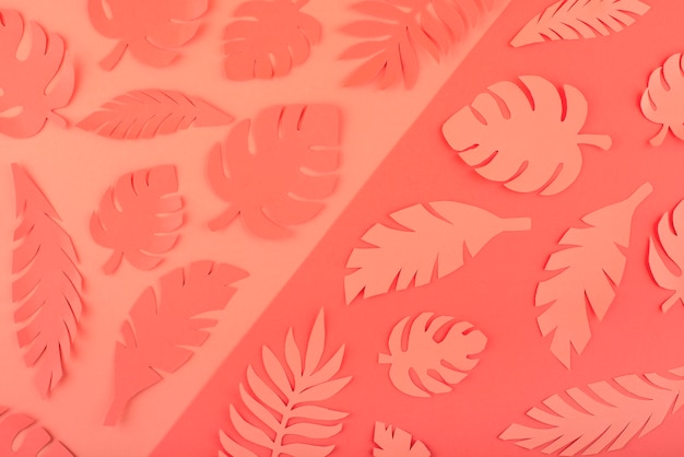 Free photo paper leaves on coral background