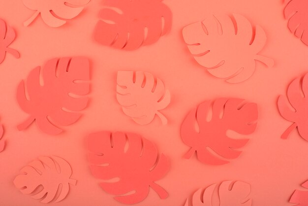 Paper leaves on coral background