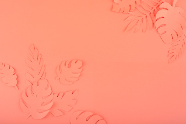 Paper leaves on coral background