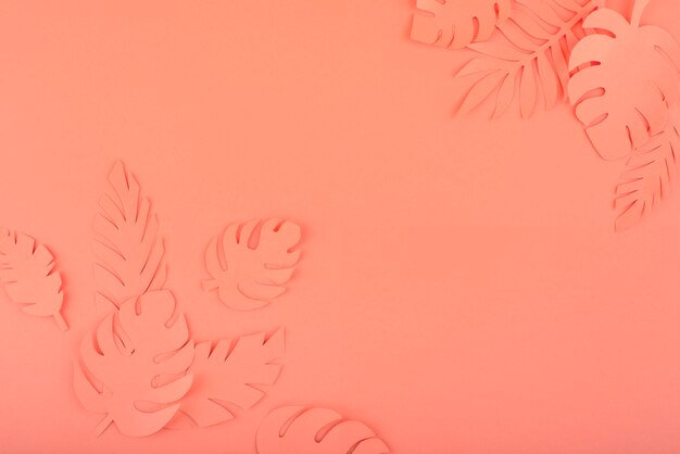 Paper leaves on coral background