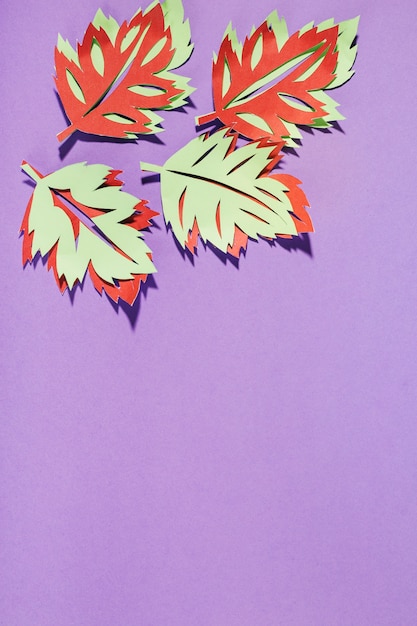 Free photo paper leaves on purple background