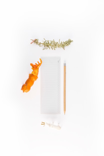 Free photo paper near pencil and coniferous and bush twigs