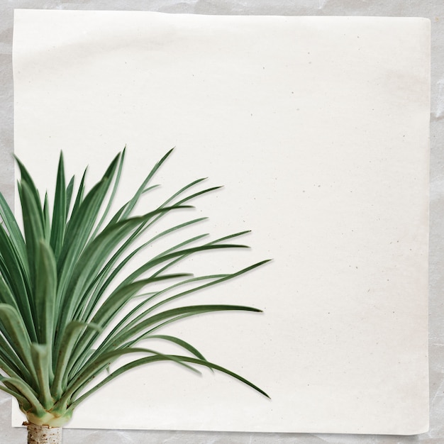 Paper note with agave palm tree