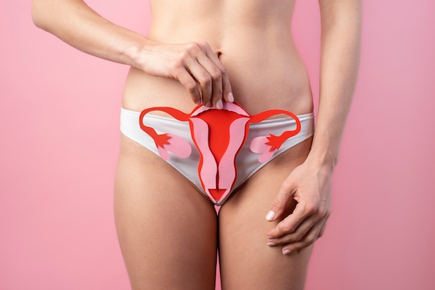 Paper ovary held by woman near her reproductive system