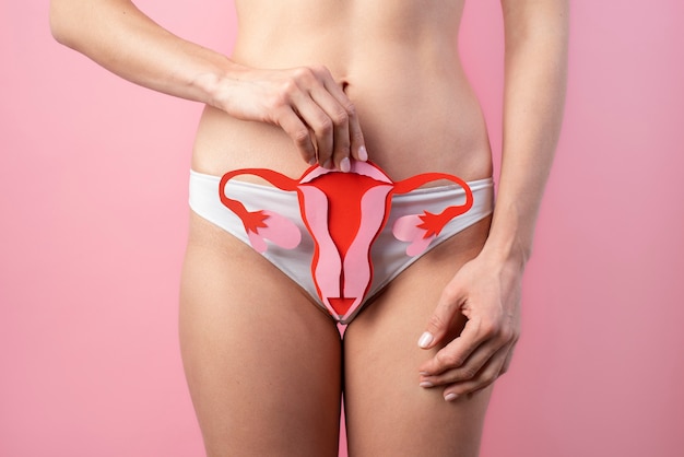Бумажный яичник, который женщина держит возле своей репродуктивной системы