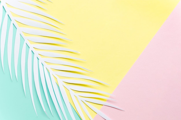 Free photo paper palm leaf on multicolored table