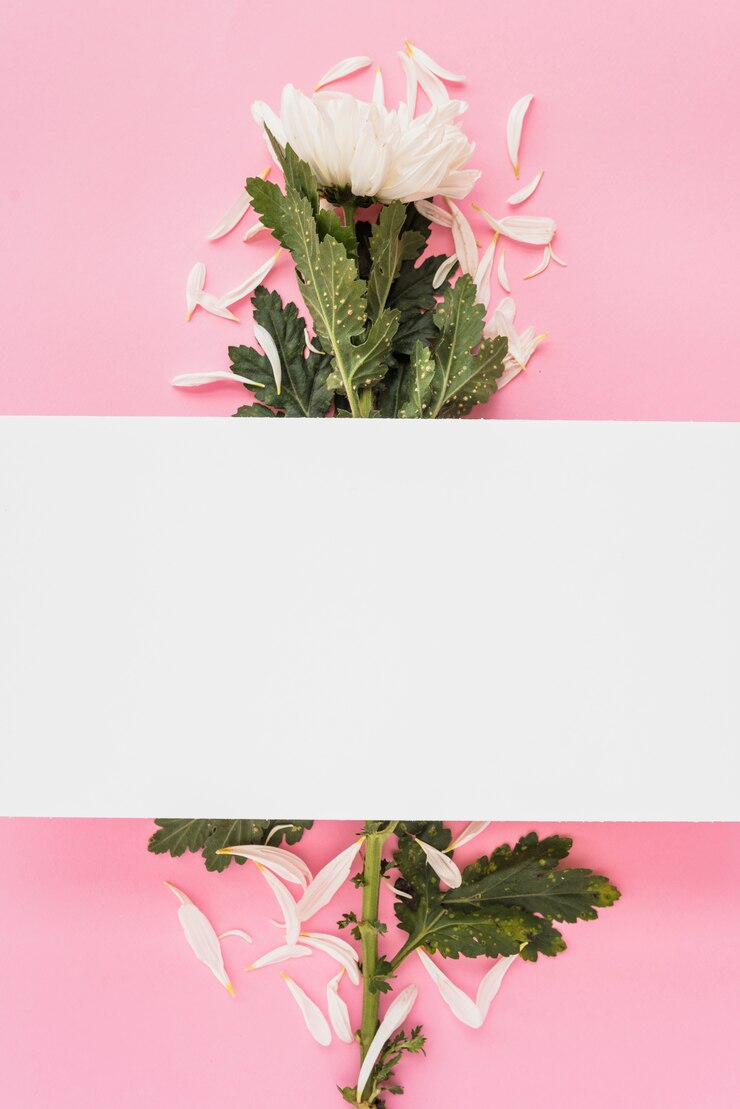 무료 Photo 꽃과 꽃잎 위에 종이 시트