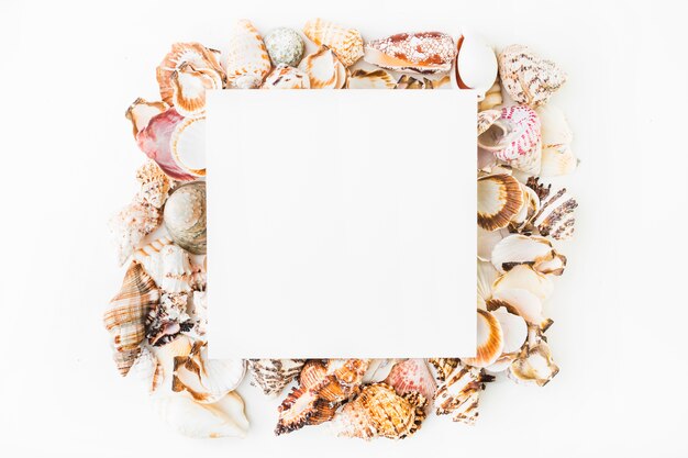 Paper sheet on heap of seashells