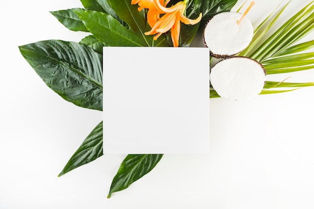 Paper sheet near leaves and coconuts