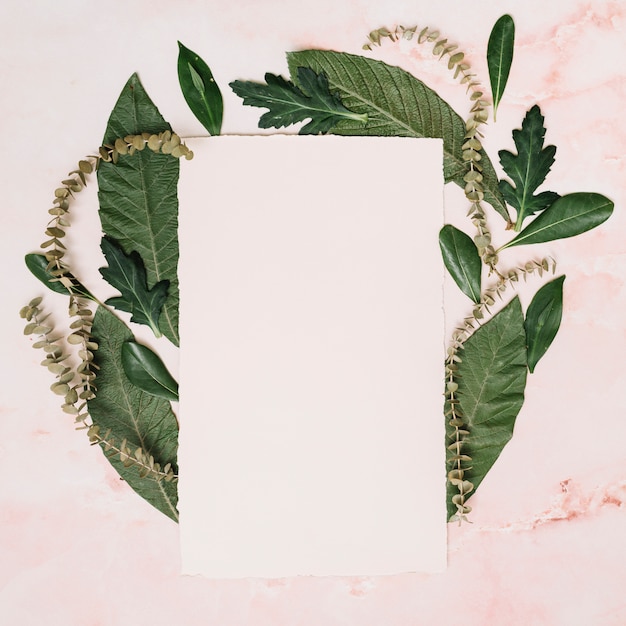 Free photo paper sheet with leaves and branches on table