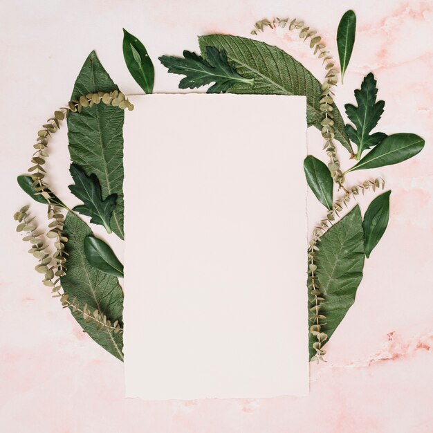 Paper sheet with leaves and branches on table