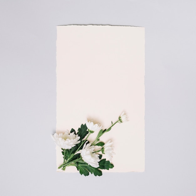 Paper sheet with small flowers on white table