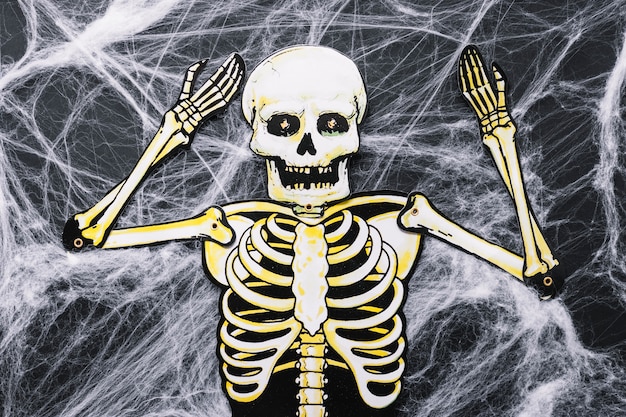 Paper skeleton on artificial web