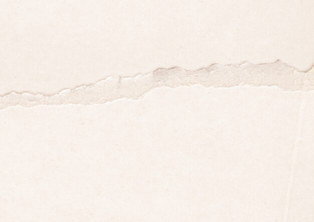 Paperboard Grey Texture
