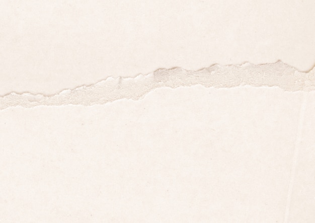 Paperboard Grey Texture
