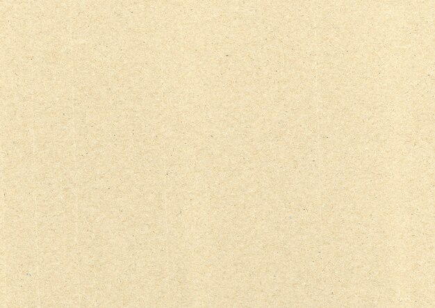 Paperboard Sepia Texture