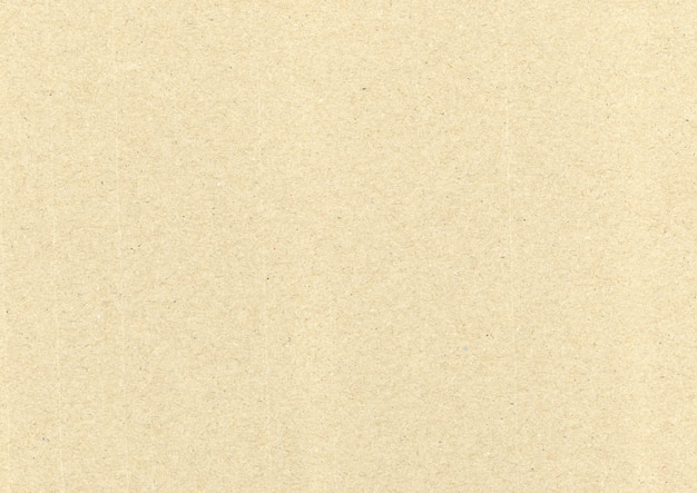 Paperboard Sepia Texture