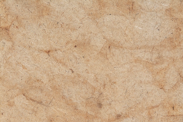 Paperboard Texture