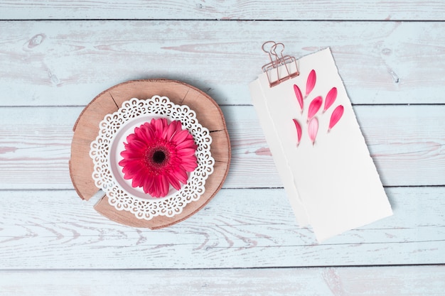 Free photo papers with petals near flower on wood round