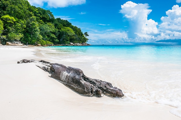 Foto gratuita paradiso nessuno estate sponda