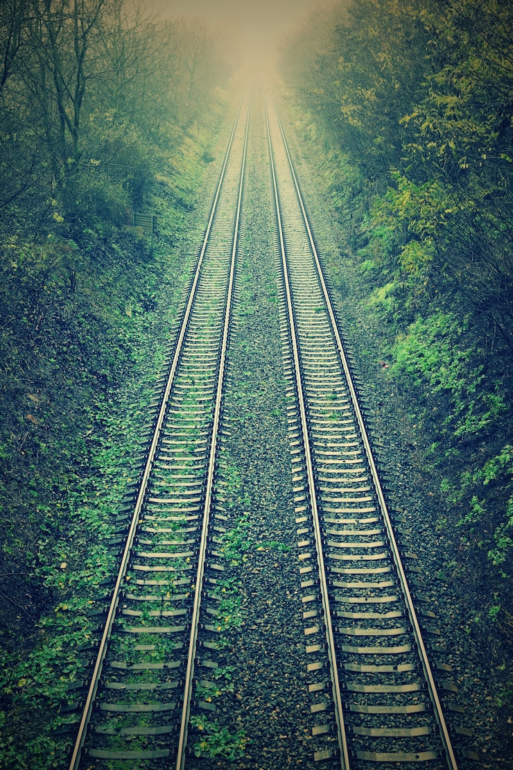 無料Photo 「森の中の鉄道の平行線」