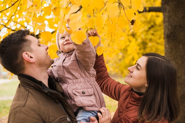 Parents holding daughter touching leaves