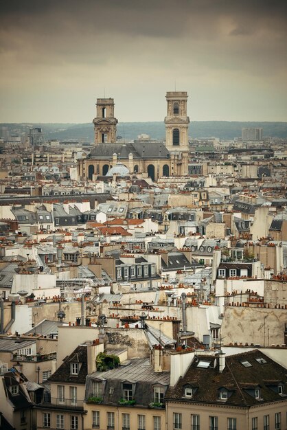 Paris rooftop view from Notre-Dame Cathedral.