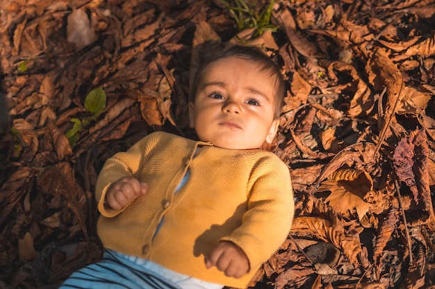 Park in an autumn sunset, six-month-old baby lying in the leaves of the trees