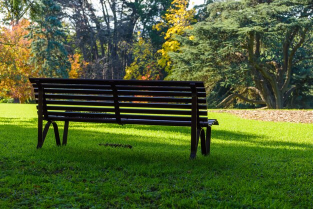 Park benches