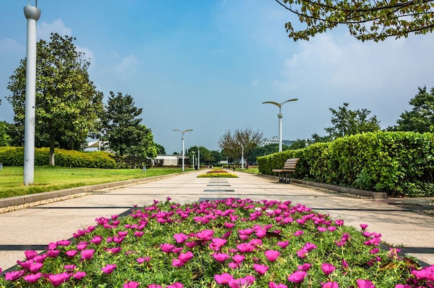 Free photo park in china