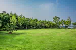 Free photo park in china