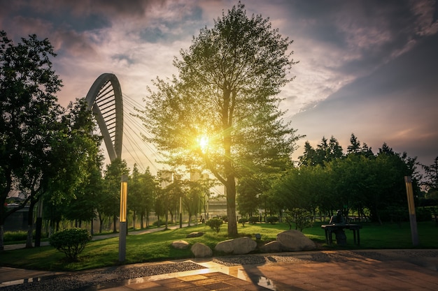 Free photo park in china