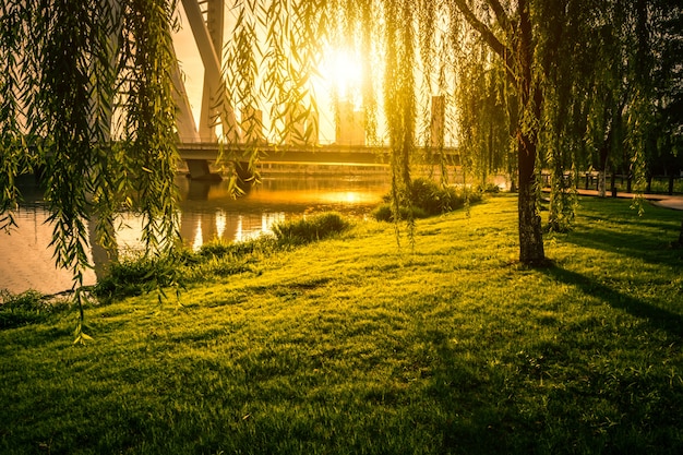 Free photo park in china