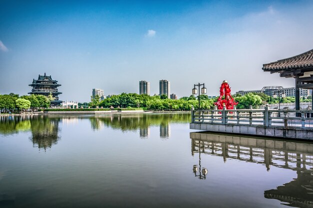 都市の公園