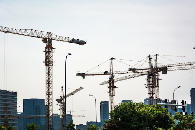 Foto gratuita parco nel centro finanziario di lujiazui