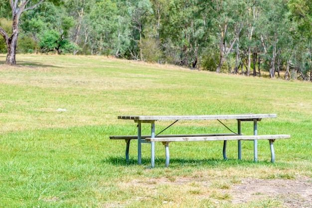 Park tables and benches on the lawn