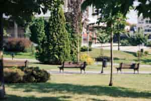 Free photo park with benches and lamp