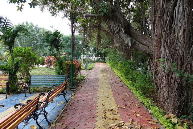 Park with benches to one side