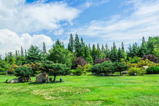 木々に囲まれた公園