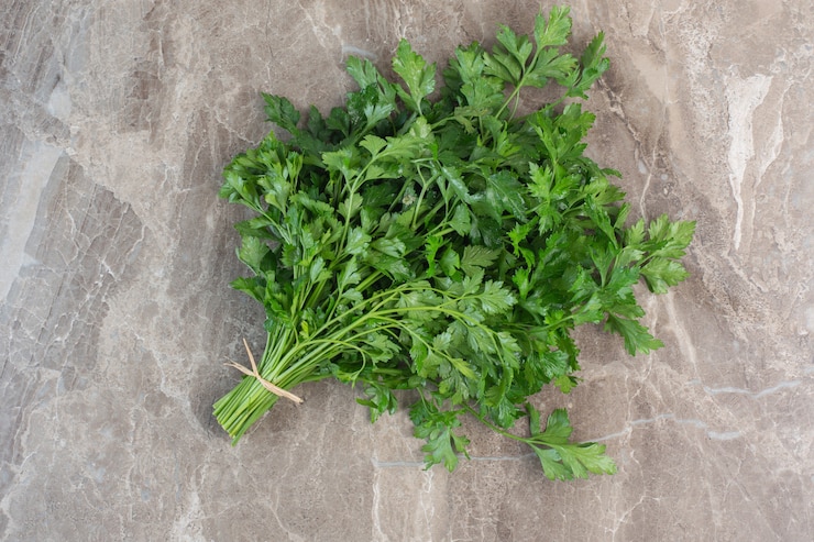 Free Photo parsley leaves tied up on marble.