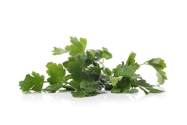 Parsley leaves on a white surface