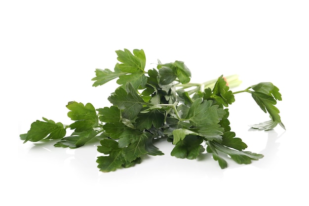 Parsley leaves on a white surface