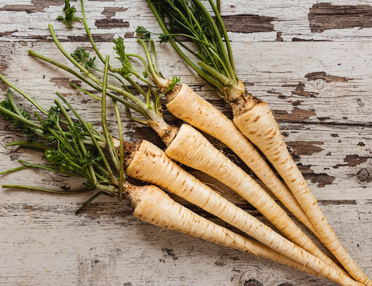Free Photo parsley roots healthy natural ingredients