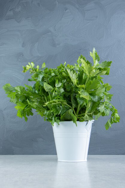 Parsley in the white bucket , on the marble background.