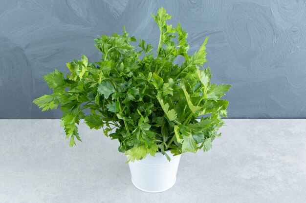 Parsley in the white bucket , on the marble background.